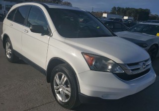 Image for 2010 Honda CR-V EXL ID: 7101601