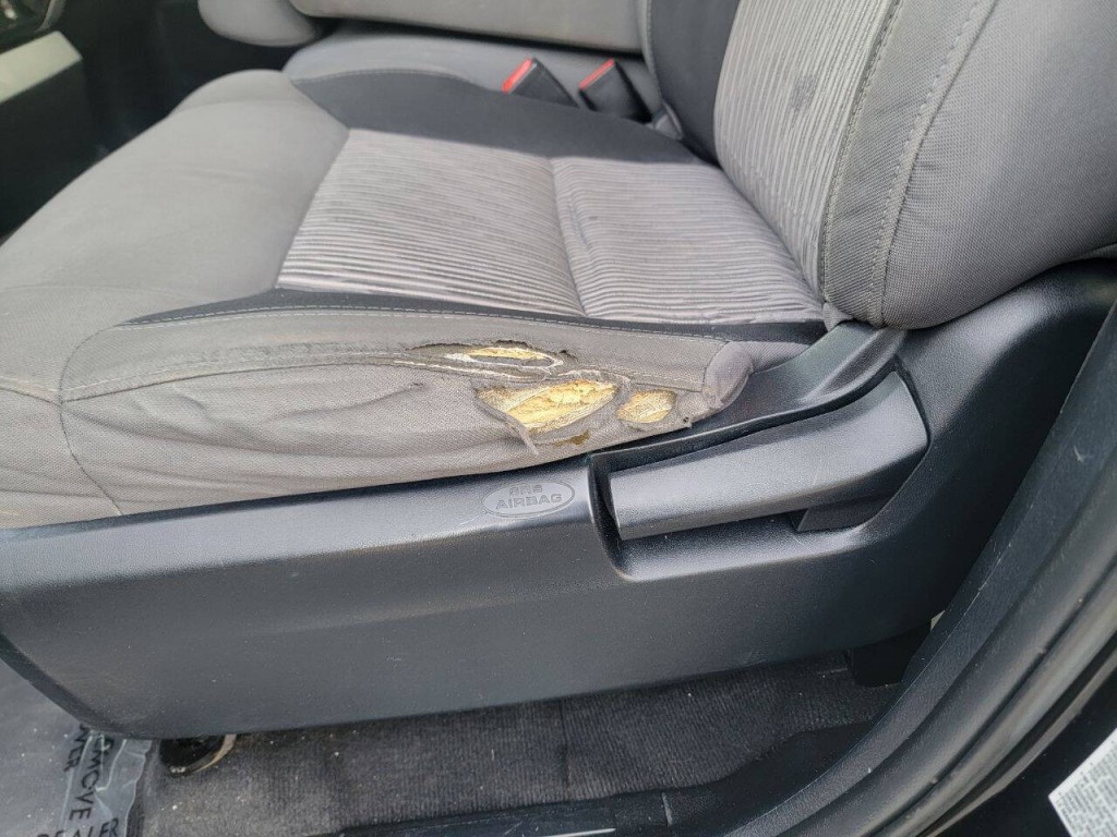 2015 Toyota Tundra Image 28