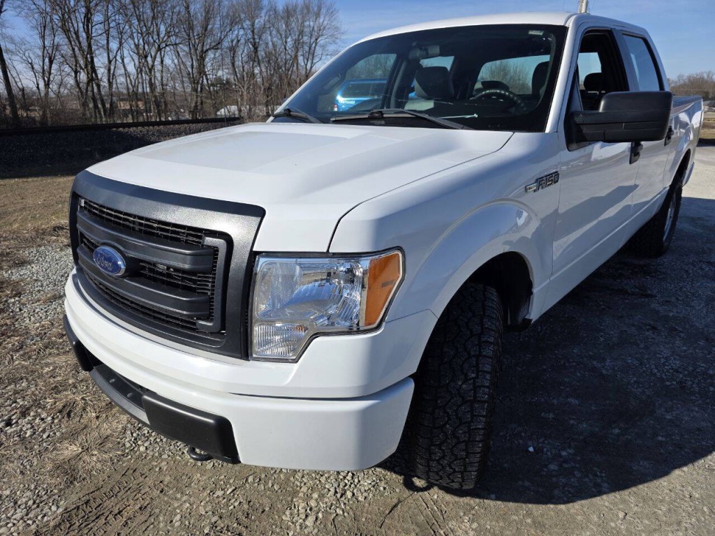 2014 Ford F-150 Image 11