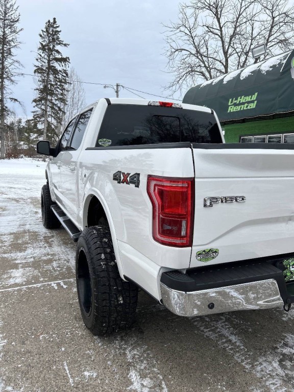 2015 Ford F-150 Image 3