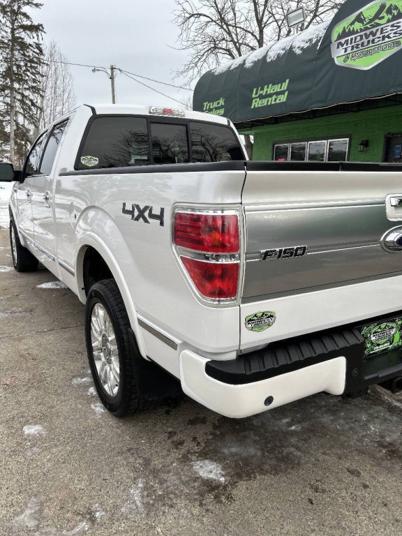 2010 Ford F-150 Image 3