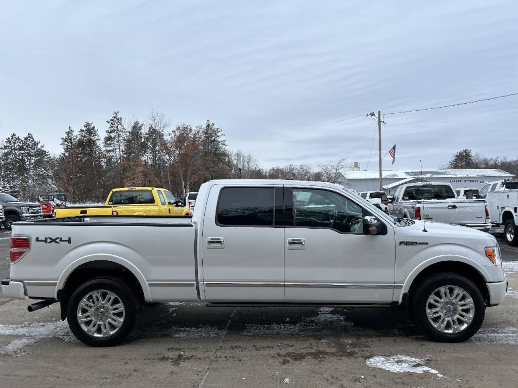 2010 Ford F-150 Image 4
