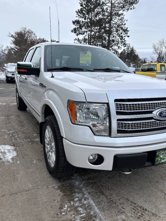 2010 Ford F-150 Image 5