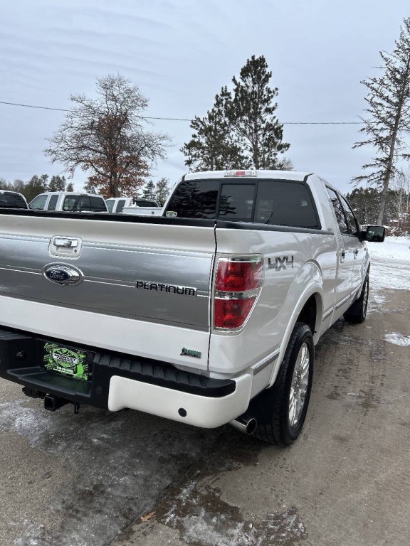 2010 Ford F-150 Image 6