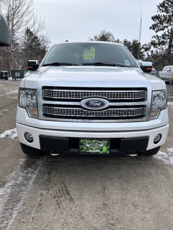 2010 Ford F-150 Image 7