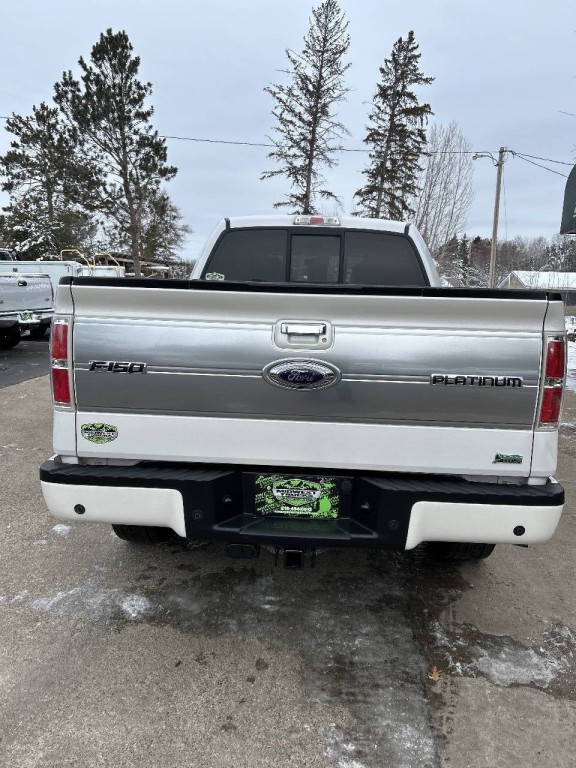 2010 Ford F-150 Image 8