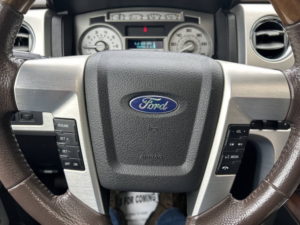 2010 Ford F-150 Image 18