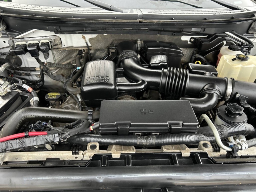 2010 Ford F-150 Image 42