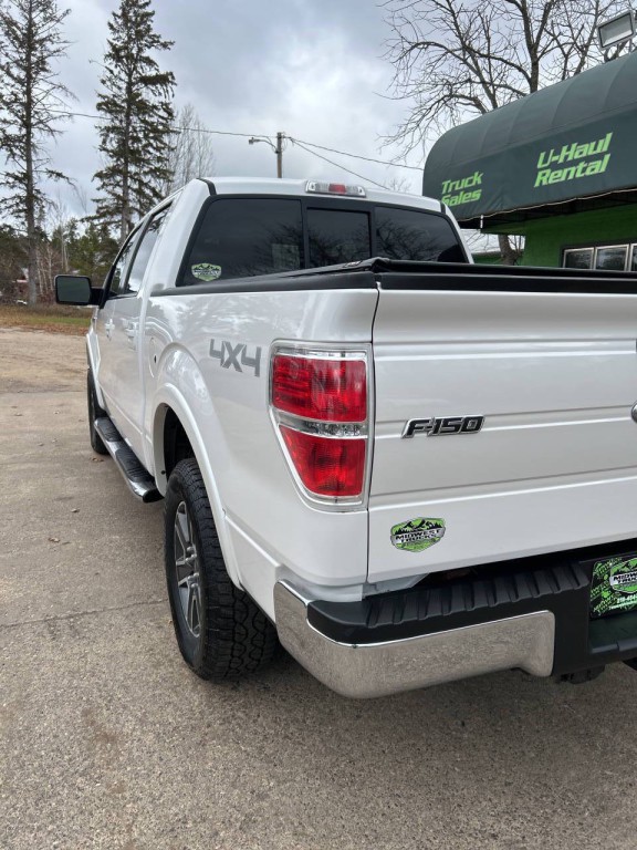 2010 Ford F-150 Image 3