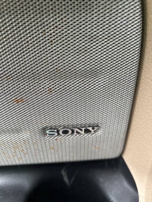 2010 Ford F-150 Image 19