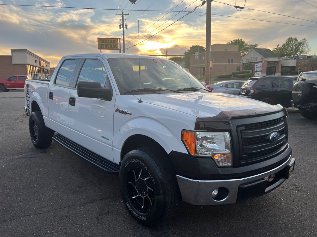 2014 Ford F-150 Image 3