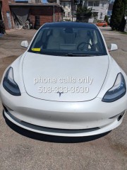 Image for 2018 Tesla Model 3 Performance Fastback ID: 7535155