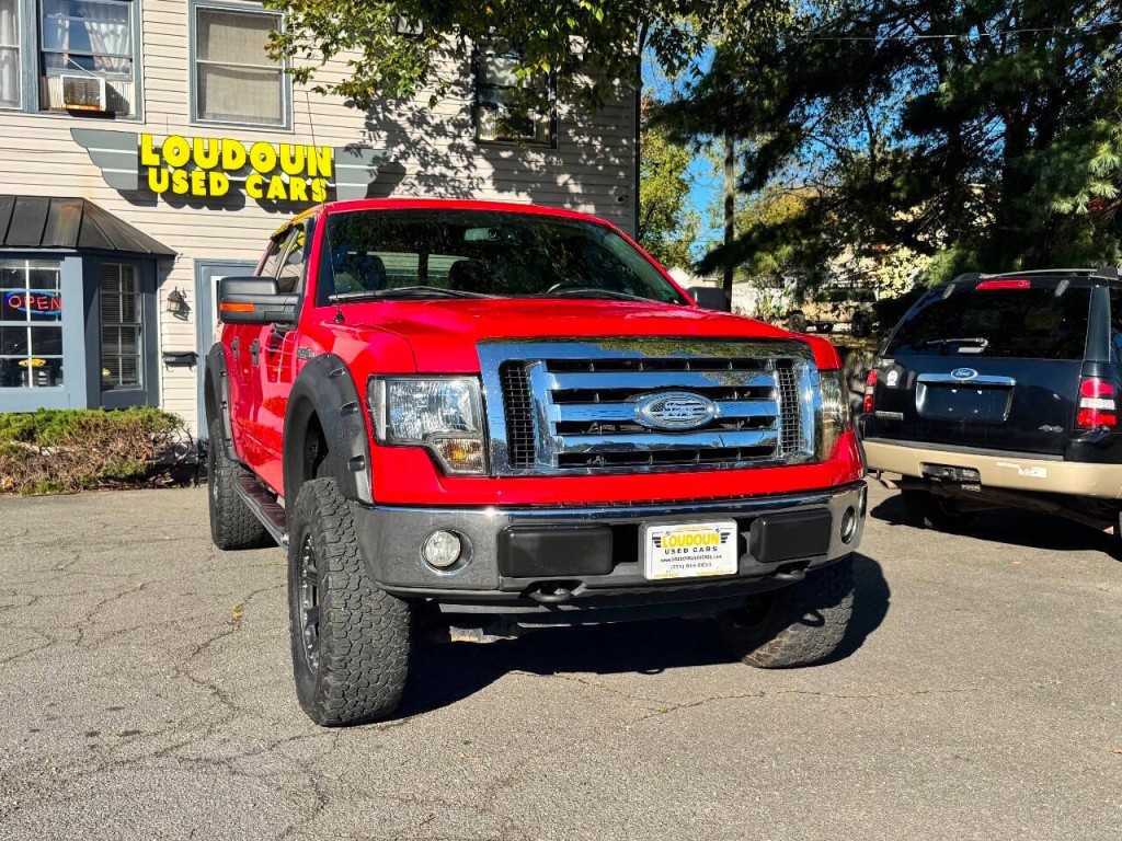 2010 Ford F-150 Image 3