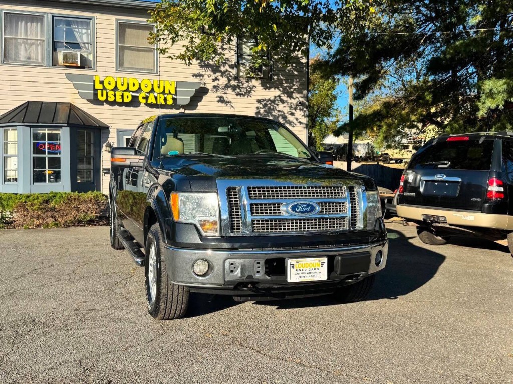 2010 Ford F-150 Image 3