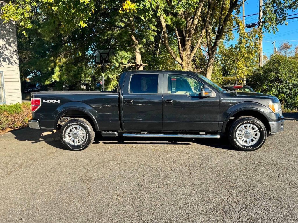 2010 Ford F-150 Image 4