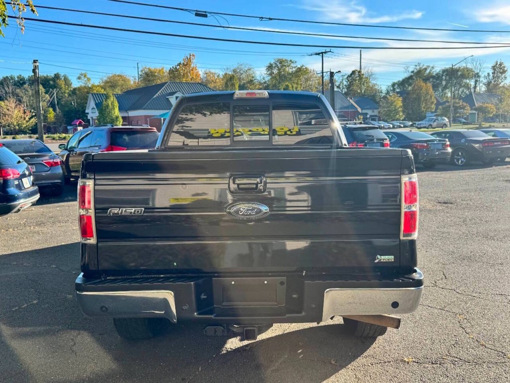 2010 Ford F-150 Image 5