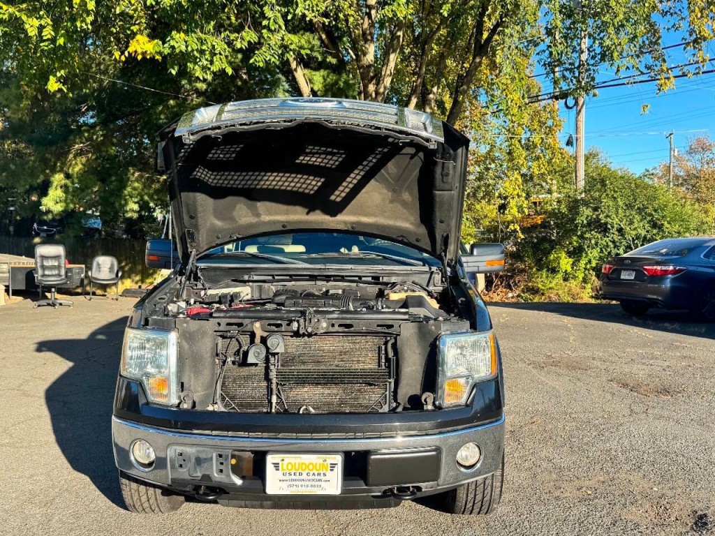 2010 Ford F-150 Image 16