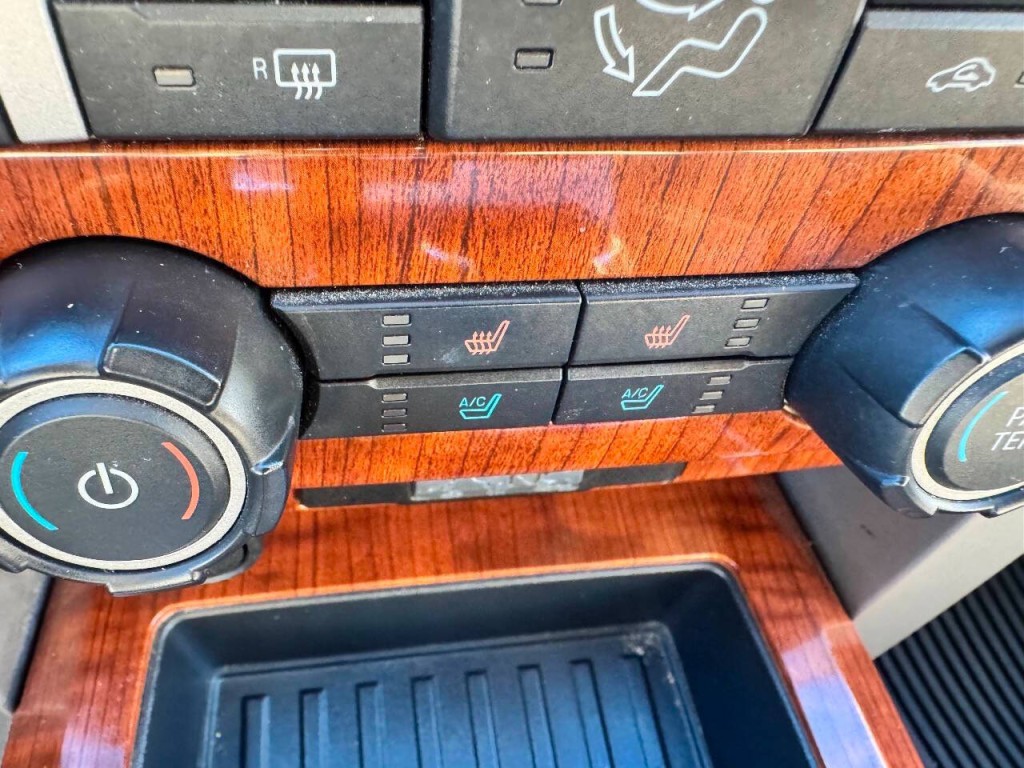 2010 Ford F-150 Image 21