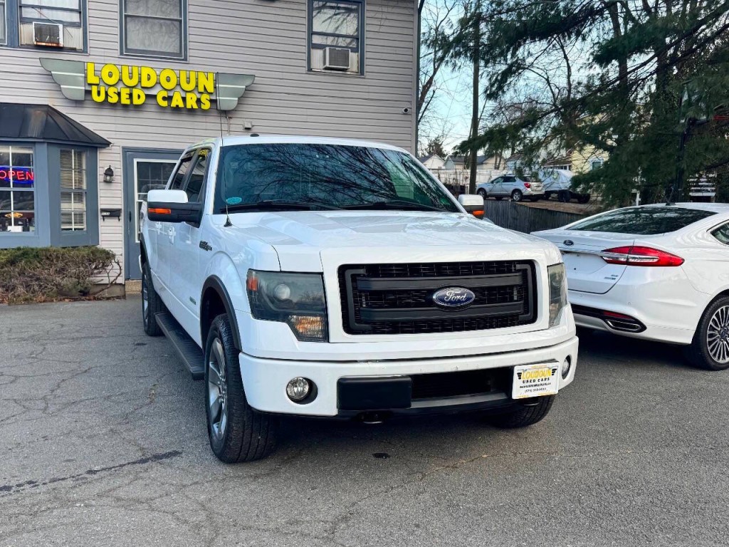 2013 Ford F-150 Image 3