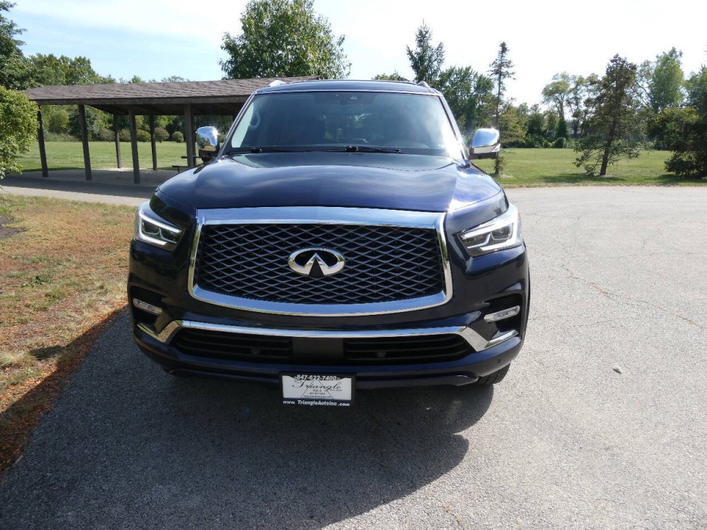 2019 INFINITI QX80 Image 2