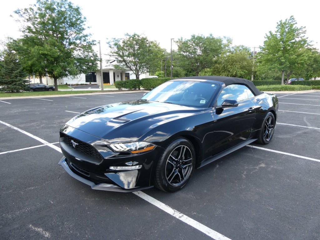2019 Ford Mustang Image 1