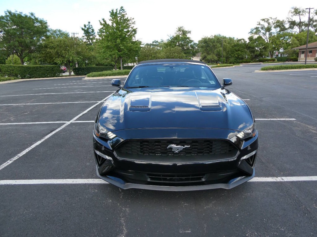 2019 Ford Mustang Image 2