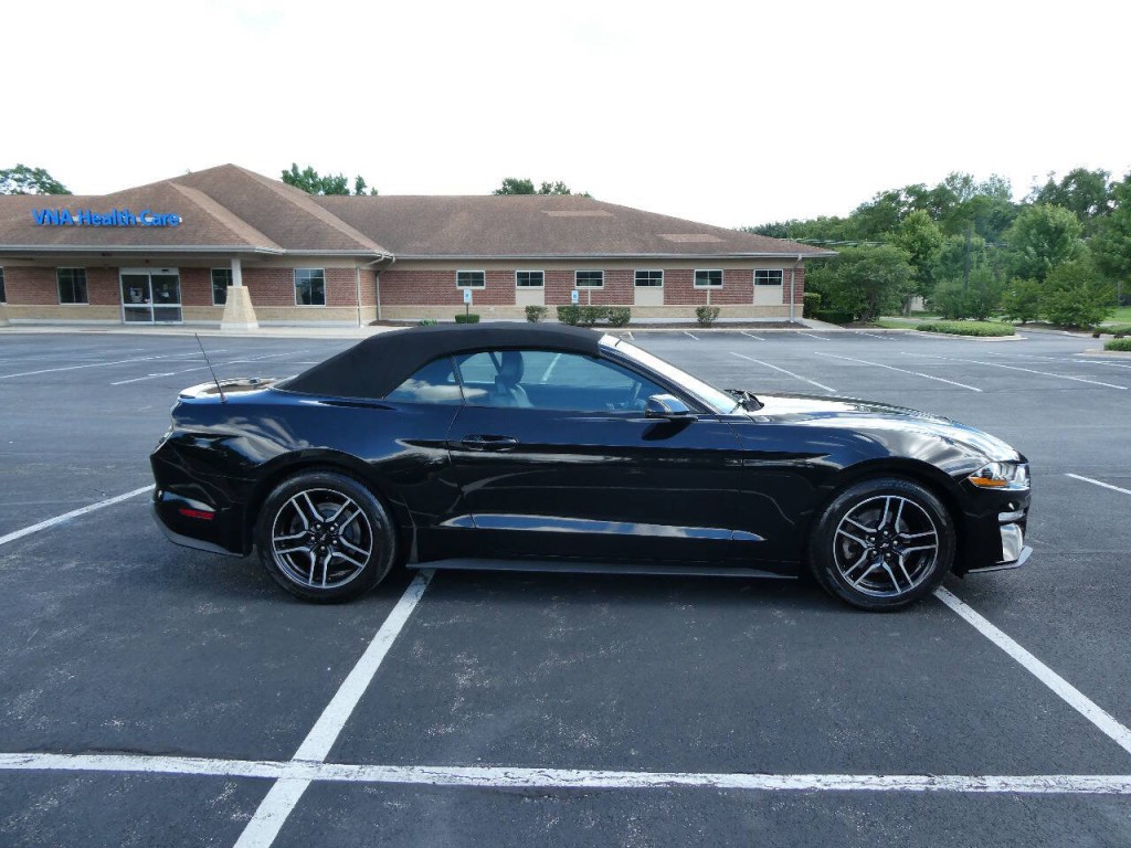 2019 Ford Mustang Image 4