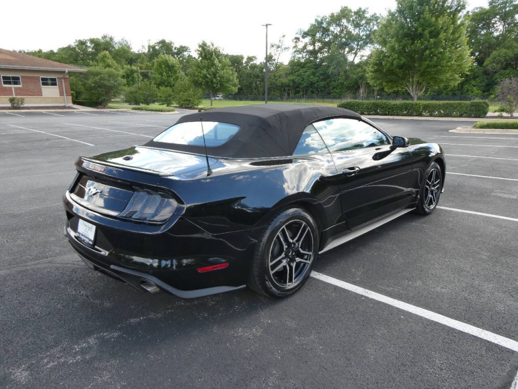 2019 Ford Mustang Image 5
