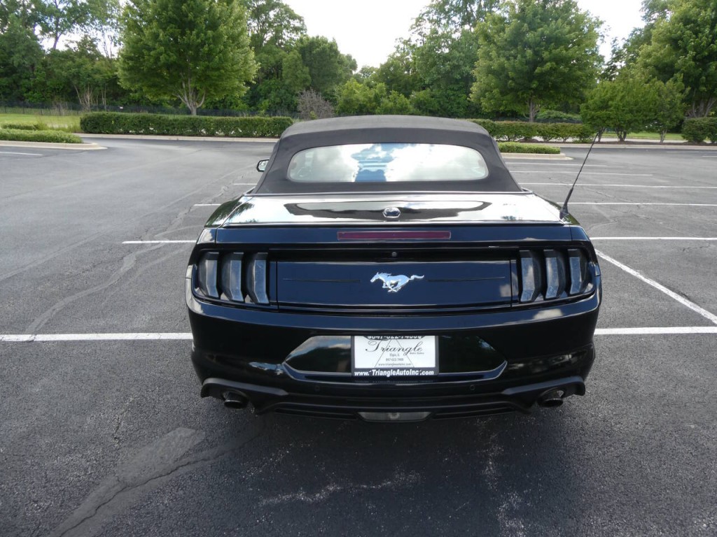 2019 Ford Mustang Image 6