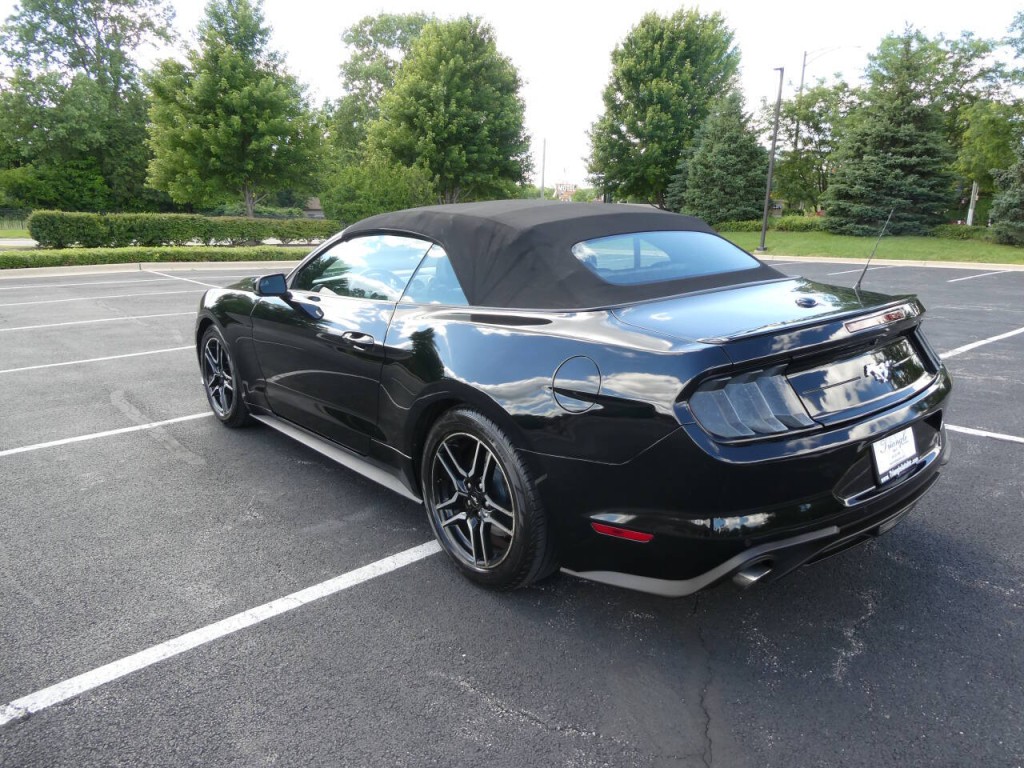 2019 Ford Mustang Image 7