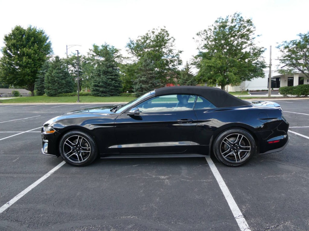 2019 Ford Mustang Image 8