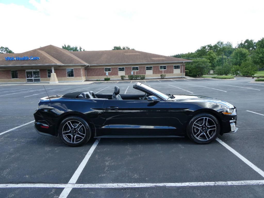2019 Ford Mustang Image 11