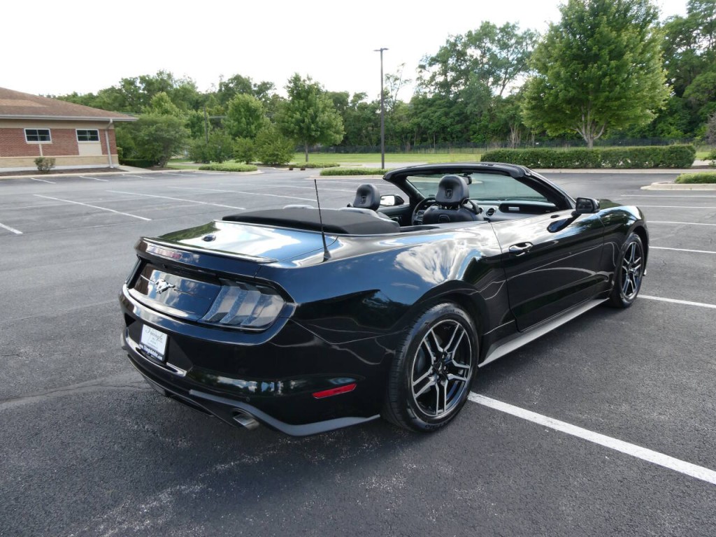2019 Ford Mustang Image 12