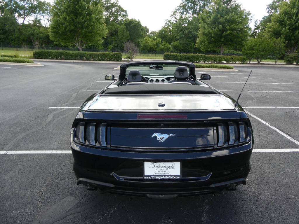 2019 Ford Mustang Image 13