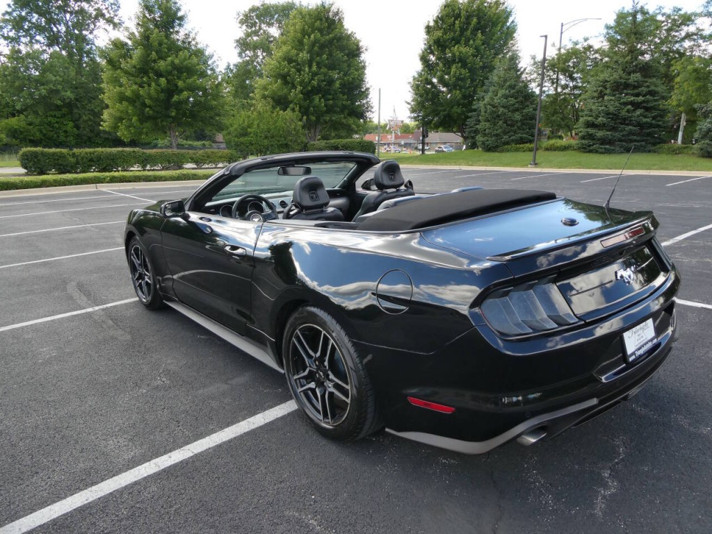 2019 Ford Mustang Image 14