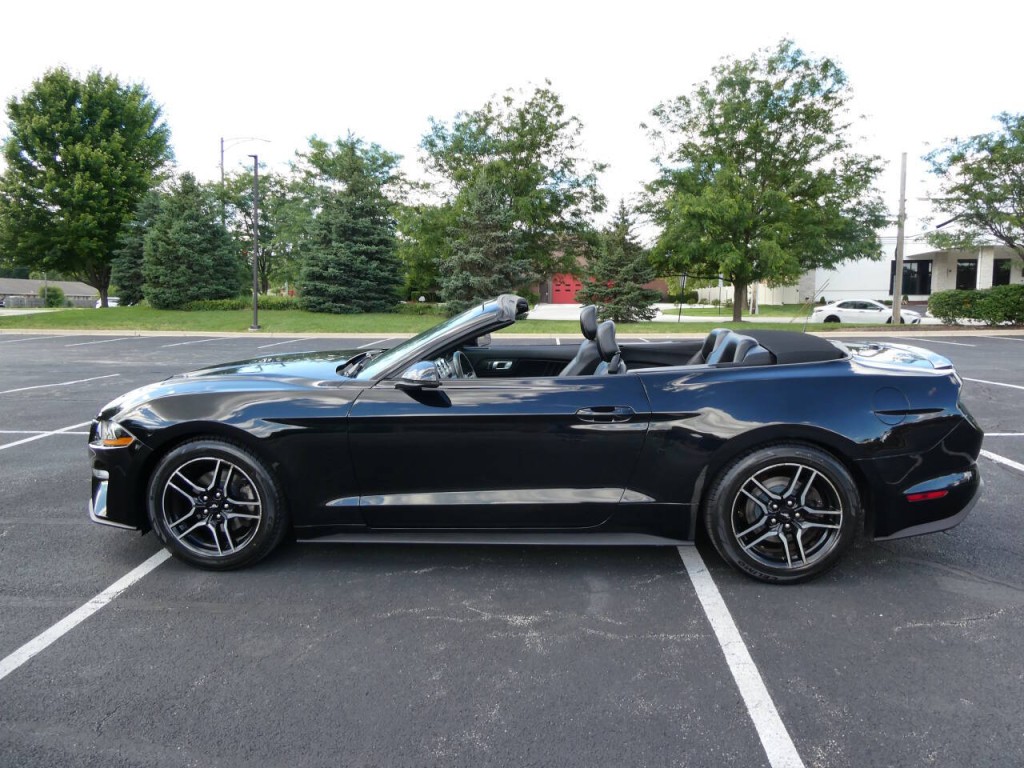 2019 Ford Mustang Image 15