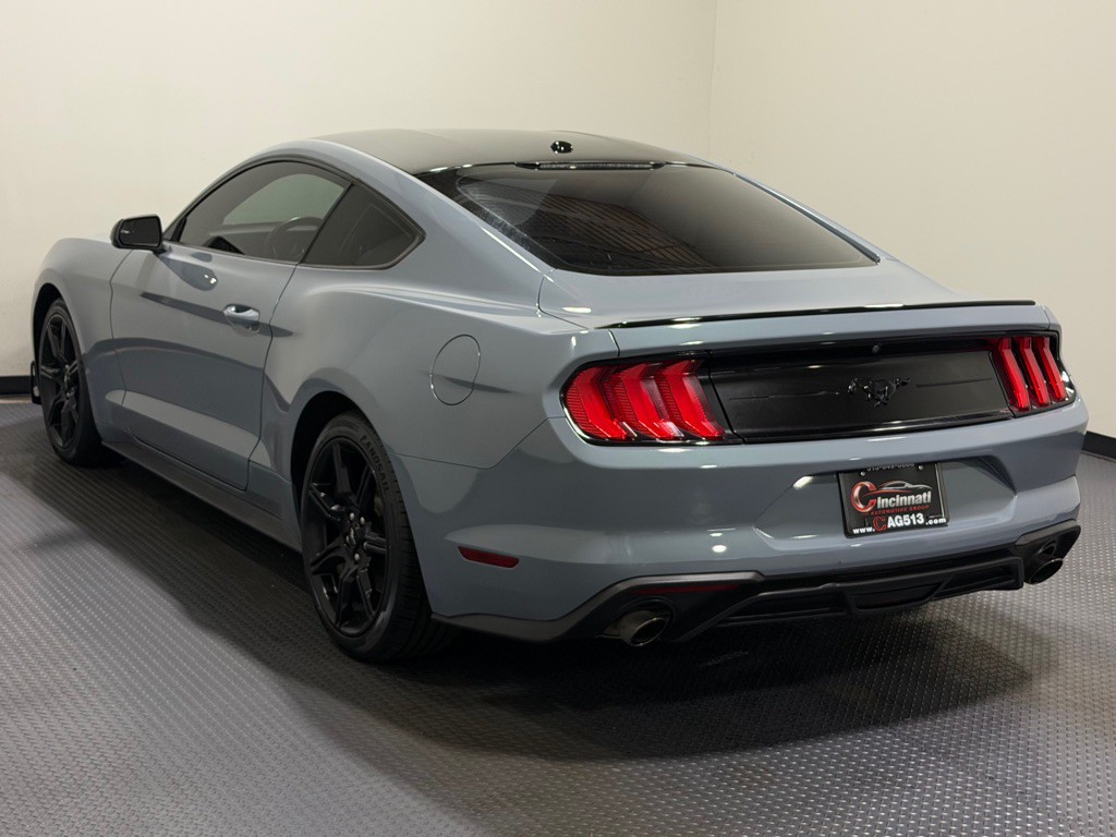 2019 Ford Mustang Image 7