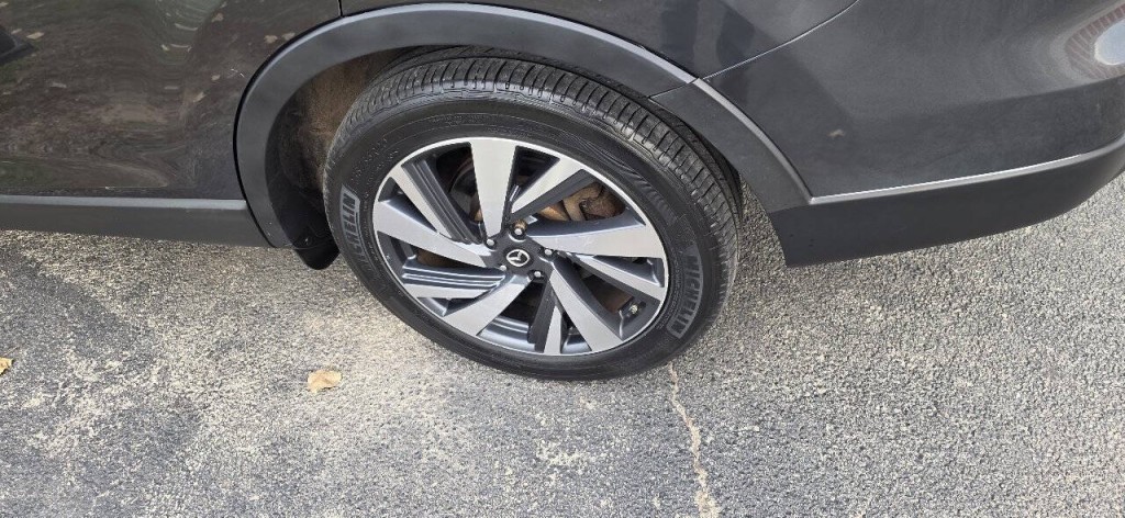 2015 Mazda CX-9 Image 9