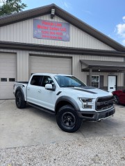 Image for 2017 Ford F-150 Raptor ID: 7616507