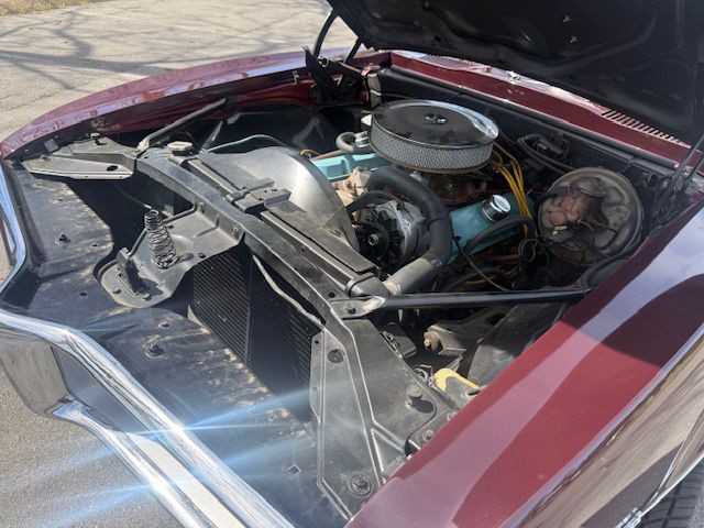 1967 Pontiac Firebird Image 6