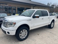 Image for 2014 Ford F-150 Platinum Supercrew ID: 6289564