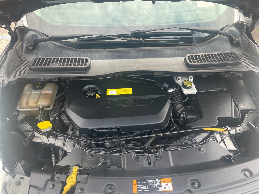 2016 Ford Escape Image 12