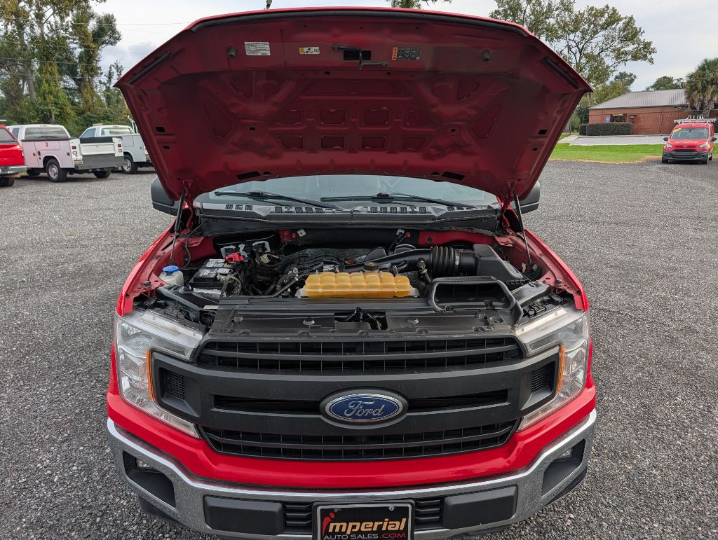 2019 Ford F-150 Image 8