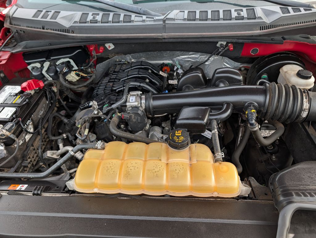 2019 Ford F-150 Image 10