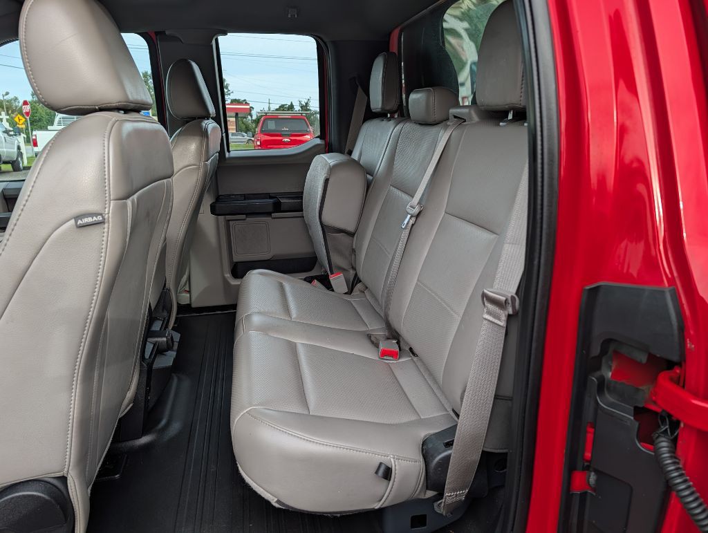 2019 Ford F-150 Image 11