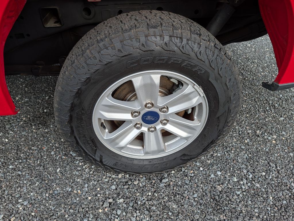 2019 Ford F-150 Image 39