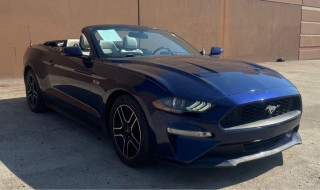 Image for 2019 Ford Mustang Ecoboost ID: 6547589