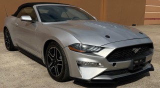 Image for 2019 Ford Mustang Ecoboost ID: 6937803