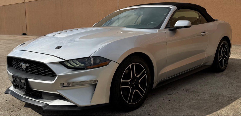 2019 Ford Mustang Image 2