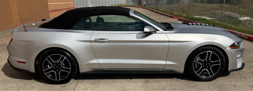 2019 Ford Mustang Image 5